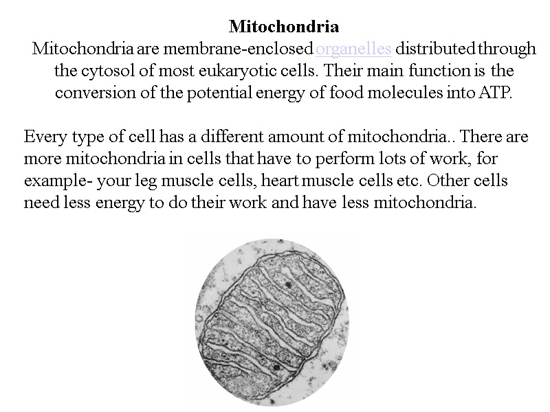 Mitochondria Mitochondria are membrane-enclosed organelles distributed through the cytosol of most eukaryotic cells. Their